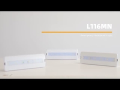 lumière rechargeable 3W Zhuiming LED du secours 220V