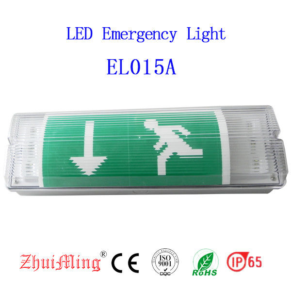 Luminaire étanche d'urgence en saillie, montage mural, LED pour zones humides, extérieur IP65 EL015AMN