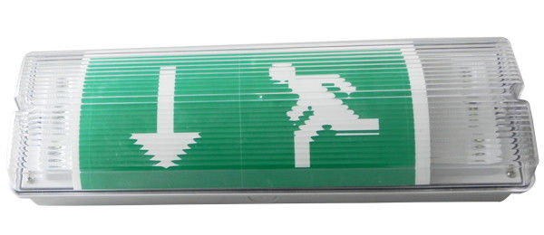 Surface murale montée à l'épreuve de l'eau Paratie d'urgence lumière LED emplacement humide extérieur IP65 L102M