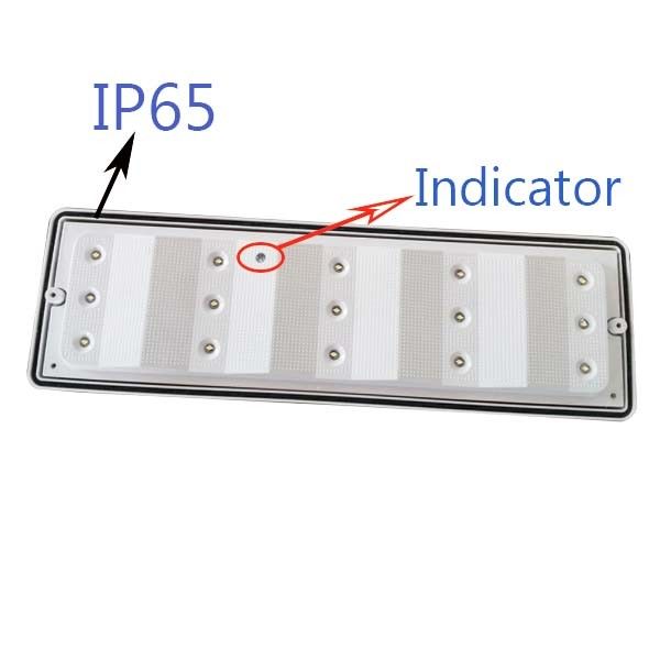 Surface murale montée à l'épreuve de l'eau Paratie d'urgence lumière LED emplacement humide extérieur IP65 L102M