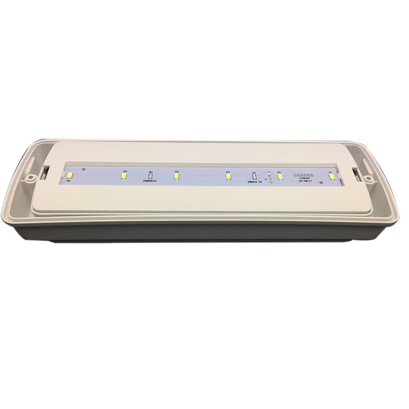 Lumière d'urgence étanche Petite taille LED Ni Cd batterie 3 heures Durée L116N-D