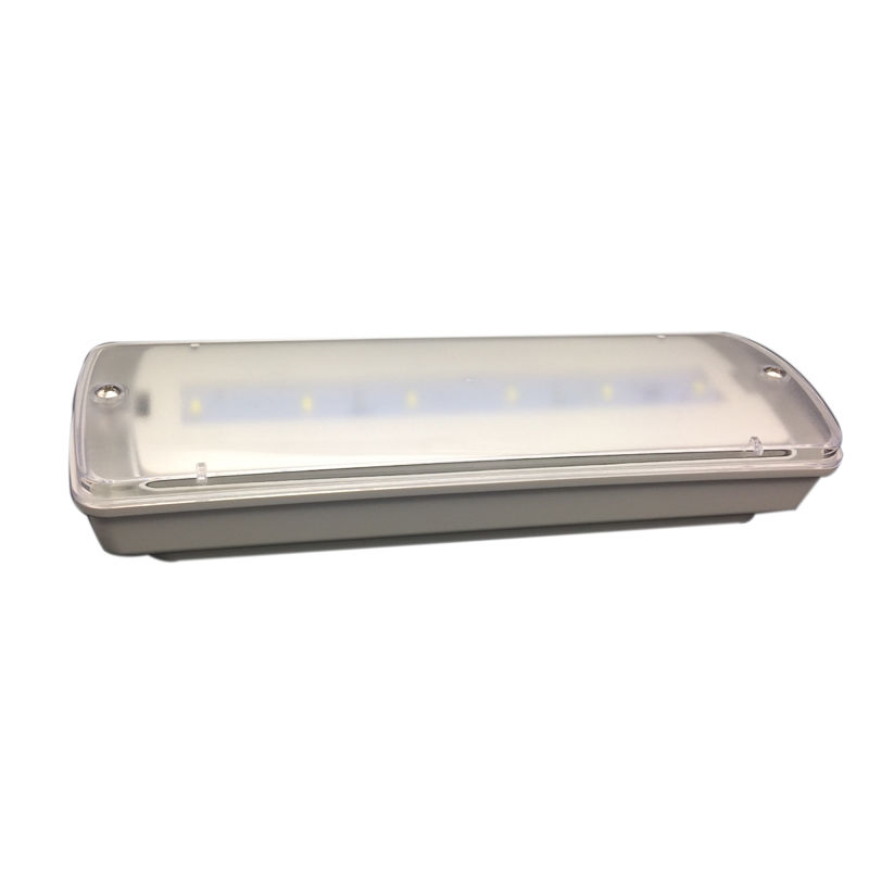 Lumière d'urgence étanche Petite taille LED Ni Cd batterie 3 heures Durée L116N-D