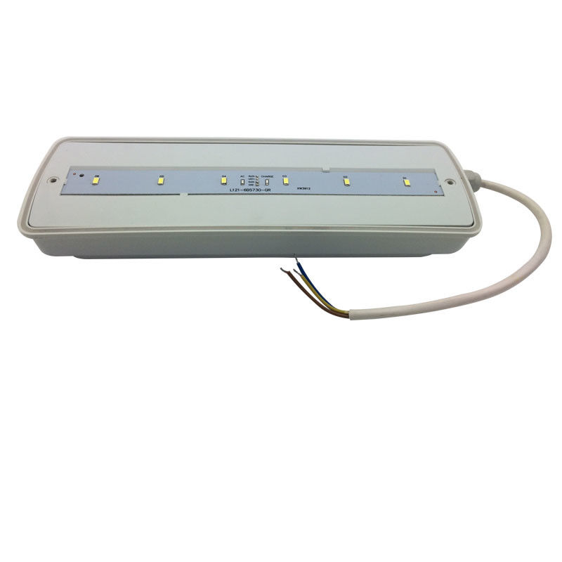 Éclairage de secours étanche pour cloisons, rechargeable, IP65, plastique extérieur, avec batterie de secours 3 heures L116N-E