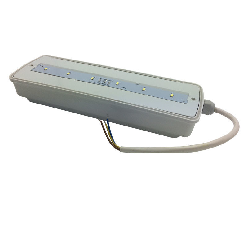 Éclairage de secours étanche pour cloisons, rechargeable, IP65, plastique extérieur, avec batterie de secours 3 heures L116N-E