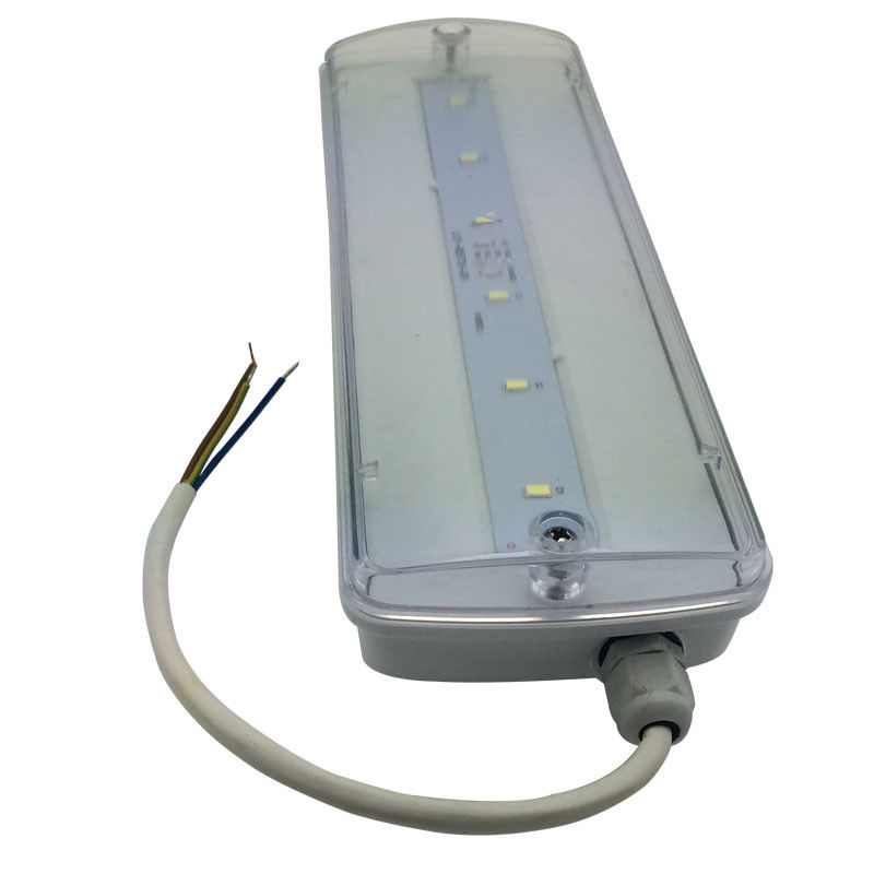 Éclairage de secours étanche pour cloisons, rechargeable, IP65, plastique extérieur, avec batterie de secours 3 heures L116N-E