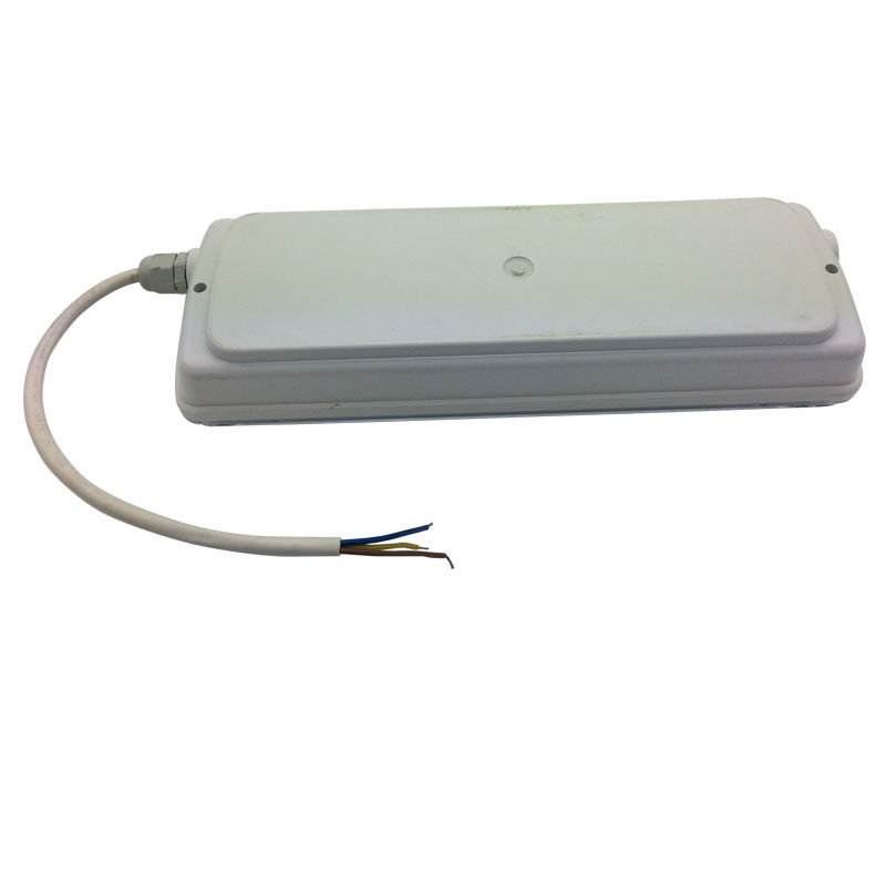 Éclairage de secours étanche pour cloisons, rechargeable, IP65, plastique, Ni-Cd avec batterie de secours 3 heures L116N-E