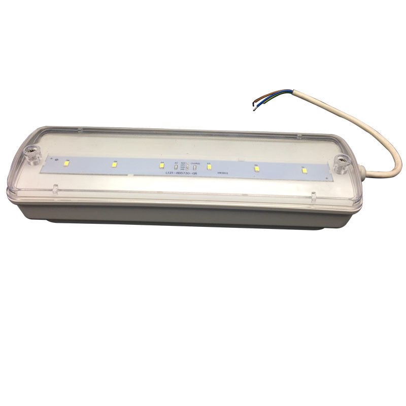 Éclairage de secours étanche pour cloisons, rechargeable, IP65, plastique, Ni-Cd avec batterie de secours 3 heures L116N-E