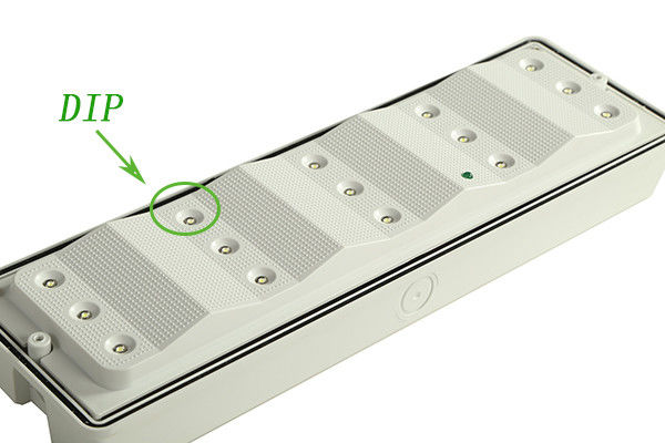 Économie d'énergie Lumière d'urgence en plastique imperméable à l'eau IP65 Emplacement humide à l'extérieur Garantie de 3 ans EL015AM