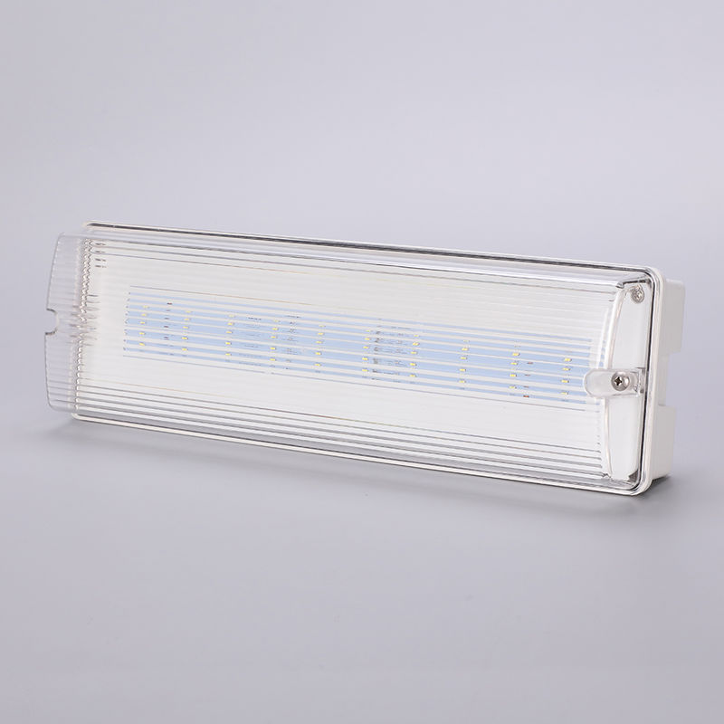 Éclairage de secours LED étanche 3H Batterie Ni-Cd 3.6V 1.0Ah 5pcs SMD 5730 IP65 6500K