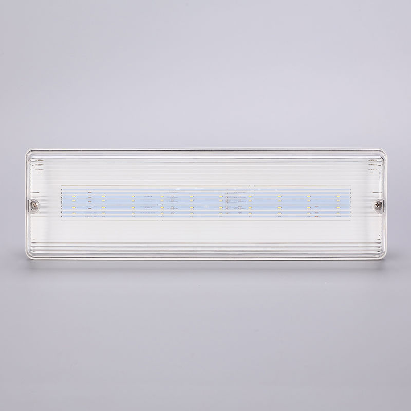 Éclairage de secours LED étanche 3H Batterie Ni-Cd 3.6V 1.0Ah 5pcs SMD 5730 IP65 6500K