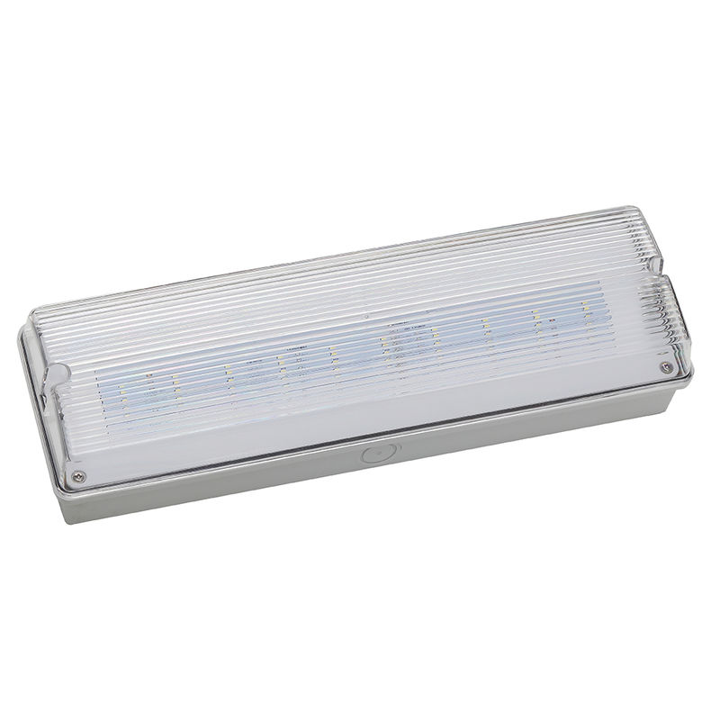 Éclairage de secours LED étanche 3H Batterie Ni-Cd 3.6V 1.0Ah 5pcs SMD 5730 IP65 6500K