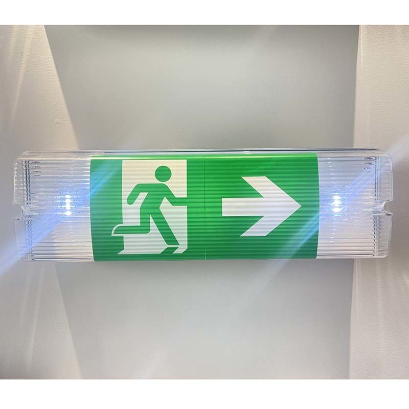 Éclairage de secours LED étanche 3H Batterie Ni-Cd 3.6V 1.0Ah 5pcs SMD 5730 IP65 6500K