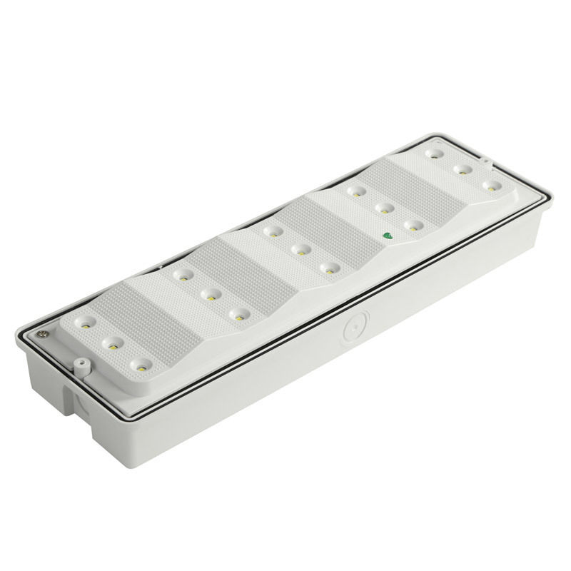Éclairage de secours LED étanche IP65 3W pour lieux humides avec batterie Ni-Cd de secours, 15 LED 2835 SMD 6500K