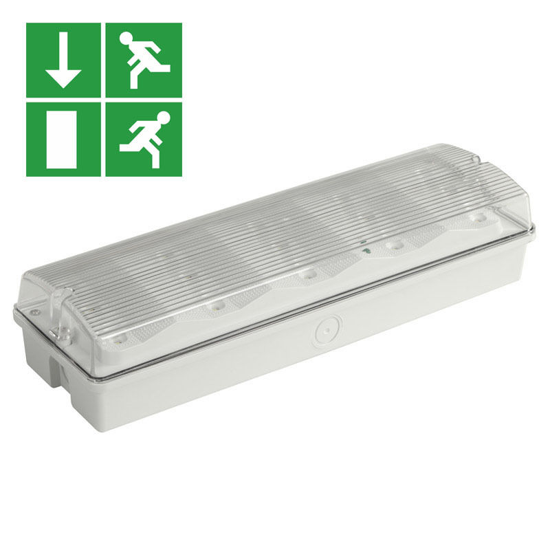 Éclairage de secours LED étanche IP65 3W pour lieux humides avec batterie Ni-Cd de secours, 15 LED 2835 SMD 6500K