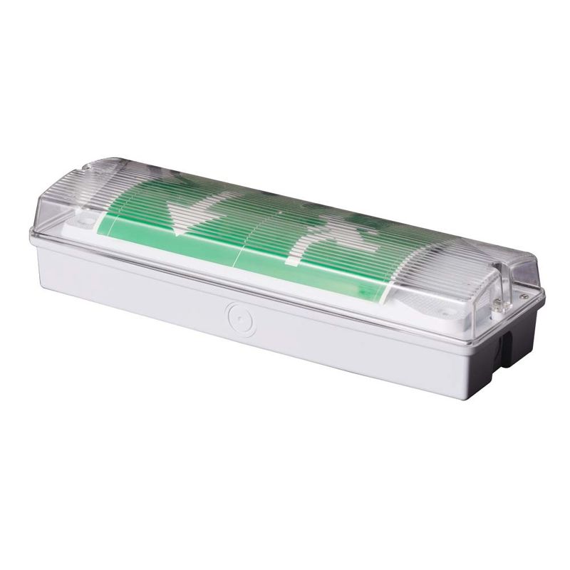 Éclairage de secours LED étanche IP65 3W pour lieux humides avec batterie Ni-Cd de secours, 15 LED 2835 SMD 6500K