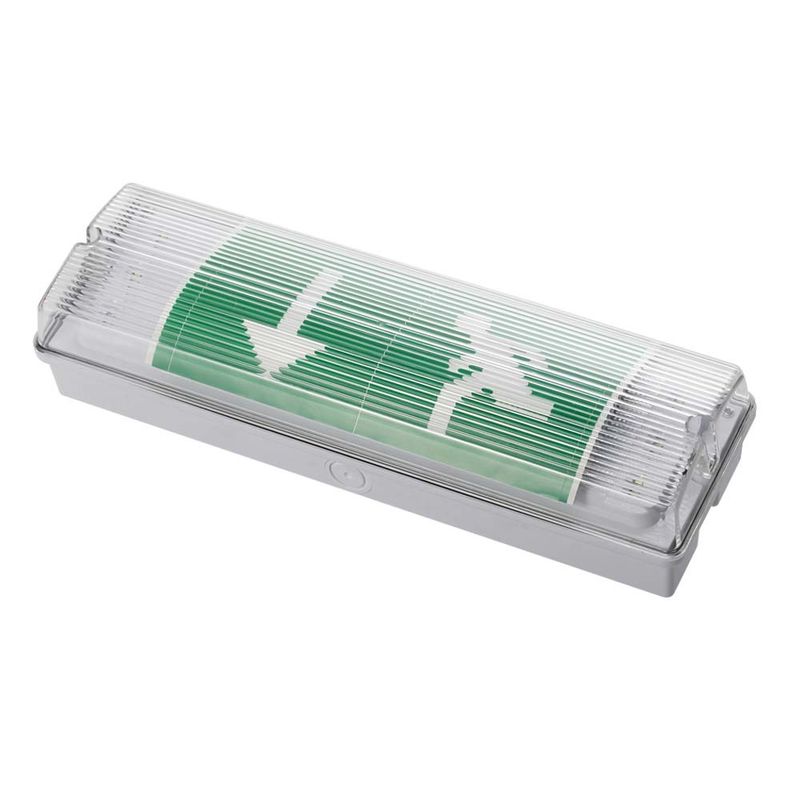 Éclairage de secours LED étanche IP65 3W pour lieux humides avec batterie Ni-Cd de secours, 15 LED 2835 SMD 6500K