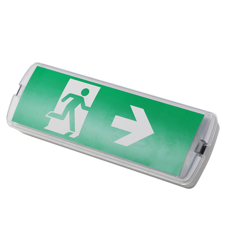 Lampe d'urgence à LED rechargeable 3W 6500K Ni CD Batterie IP20 SMD LED 220V 240V