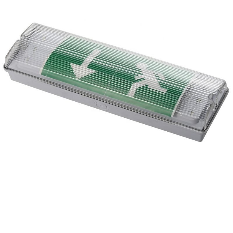 3W LED étanche à l'eau lumière d'urgence 6000K murale montée IP65 blanc froid Durée de vie 50000 heures