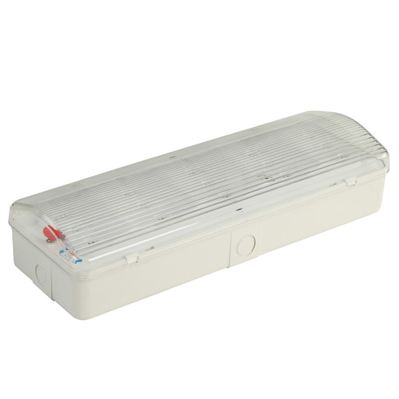 Lumière d'urgence LED rechargeable 3 heures Ni-Cd avec batterie 220V 240V IP20