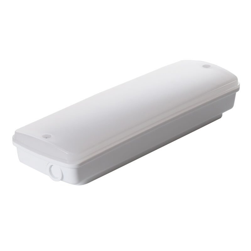 Éclairage de secours LED industriel IP65 étanche pour zones humides, extérieur, autonomie 3 heures, Ni-Cd