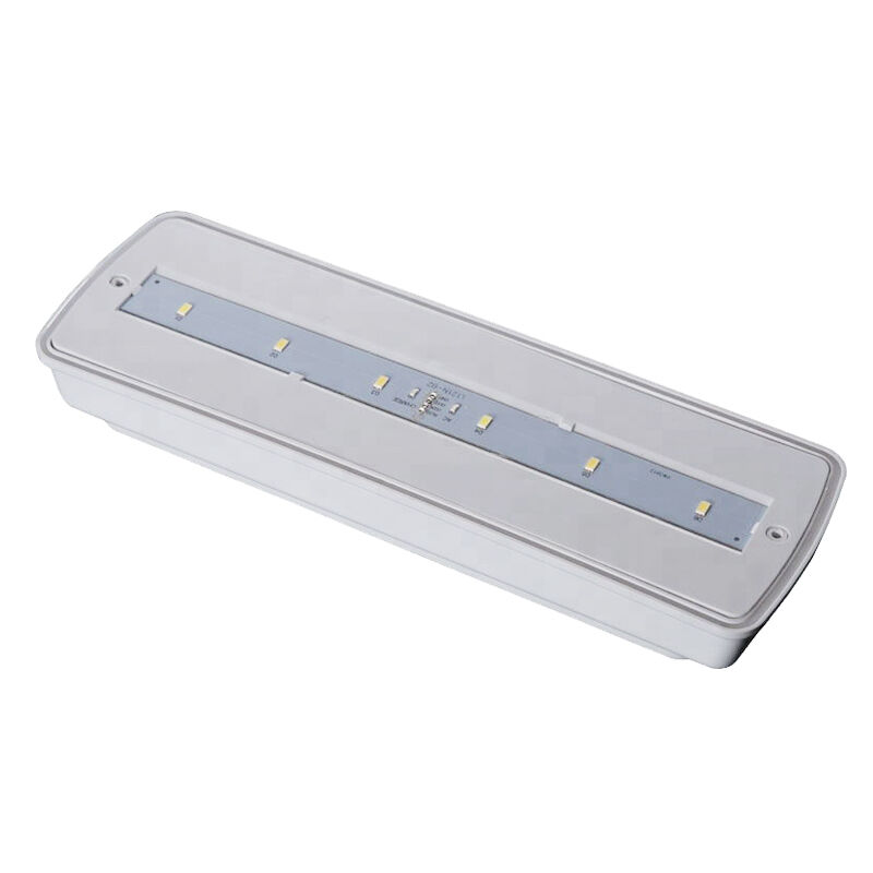 Éclairage de secours LED industriel IP65 étanche pour zones humides, extérieur, autonomie 3 heures, Ni-Cd