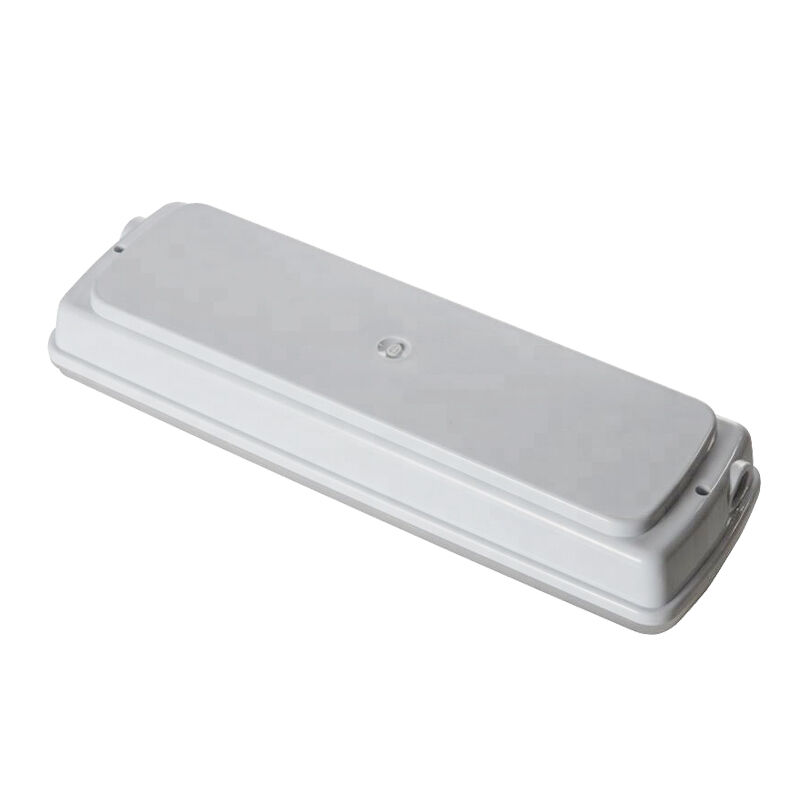 Éclairage de secours LED industriel IP65 étanche pour zones humides, extérieur, autonomie 3 heures, Ni-Cd