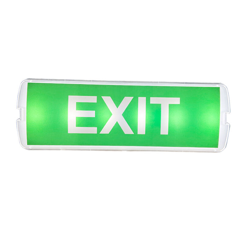 Lampe d'urgence rechargeable à LED 220V montée en surface avec sauvegarde de 3 heures et construction en plastique