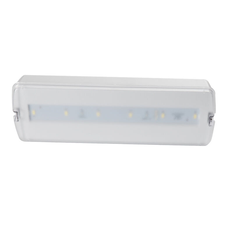 Lumière à LED murale rechargeable de secours à batterie en plastique permanente 3 heures de secours Ni Cd IP20