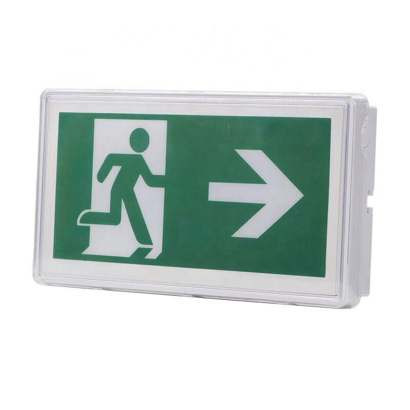 5W IP65 étanche à l'eau lumière d'urgence LED paratie emplacement humide 3 ans garantie 25000 heures