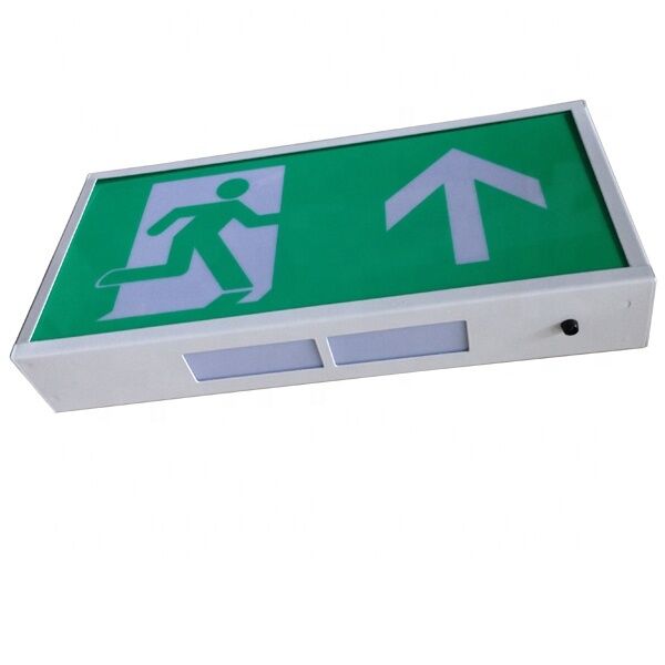 Indicateur de sortie d'urgence LED 3W avec garantie de 3 ans et 180 minutes de temps d'urgence