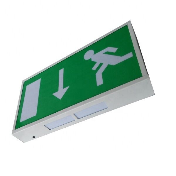 Indicateur de sortie d'urgence LED 3W avec garantie de 3 ans et 180 minutes de temps d'urgence