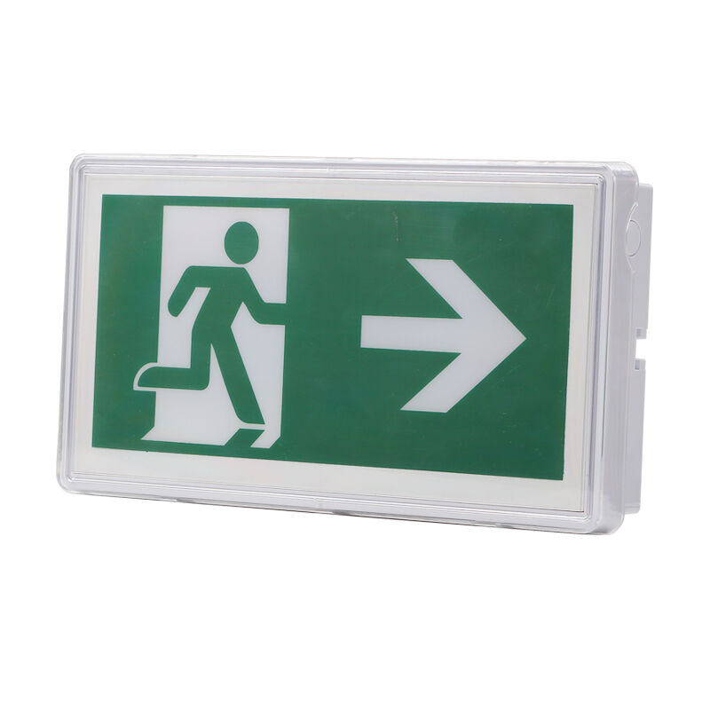 Lumière de signalisation de sortie d'urgence plafond encastrée batterie Ni-Cd IP65 nominale 5730 SMD LED