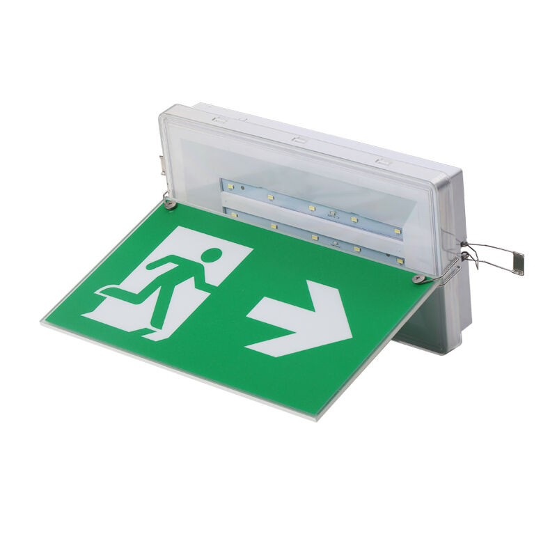 Lumière de signalisation de sortie d'urgence recouverte de plafond avec batterie Ni-Cd IP65 et LED SMD 5730