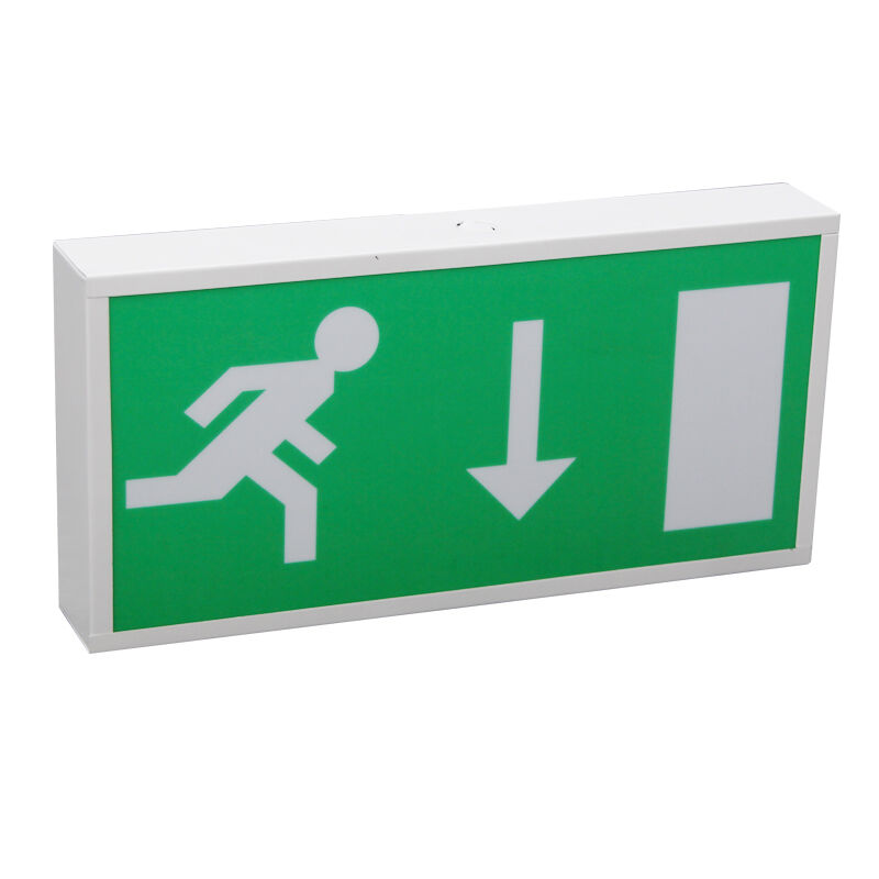 Pictogramme Ni-Cd batterie de secours LED lumière de sortie d'urgence 5730 SMD 3 ans de garantie