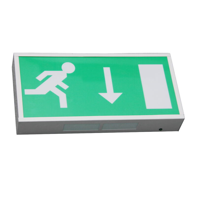 Pictogramme Ni-Cd batterie de secours LED lumière de sortie d'urgence 5730 SMD 3 ans de garantie
