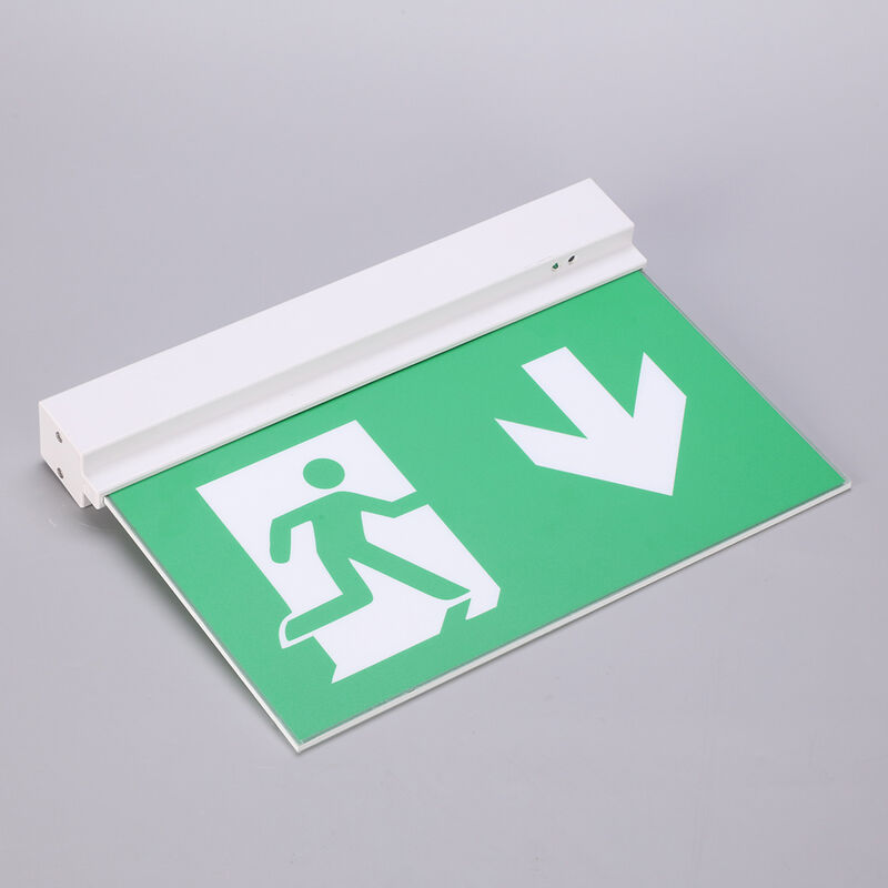 Panneau de sortie de secours LED 5 en 1 avec batterie Li-Ion, autonomie de 3 heures