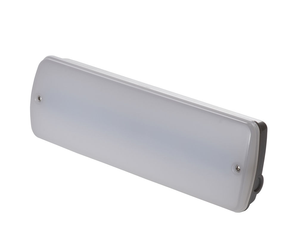 Lampe de secours étanche 3W Maintenu Non Maintenu pour zones humides, extérieur, garantie 3 ans, IP65 L121N