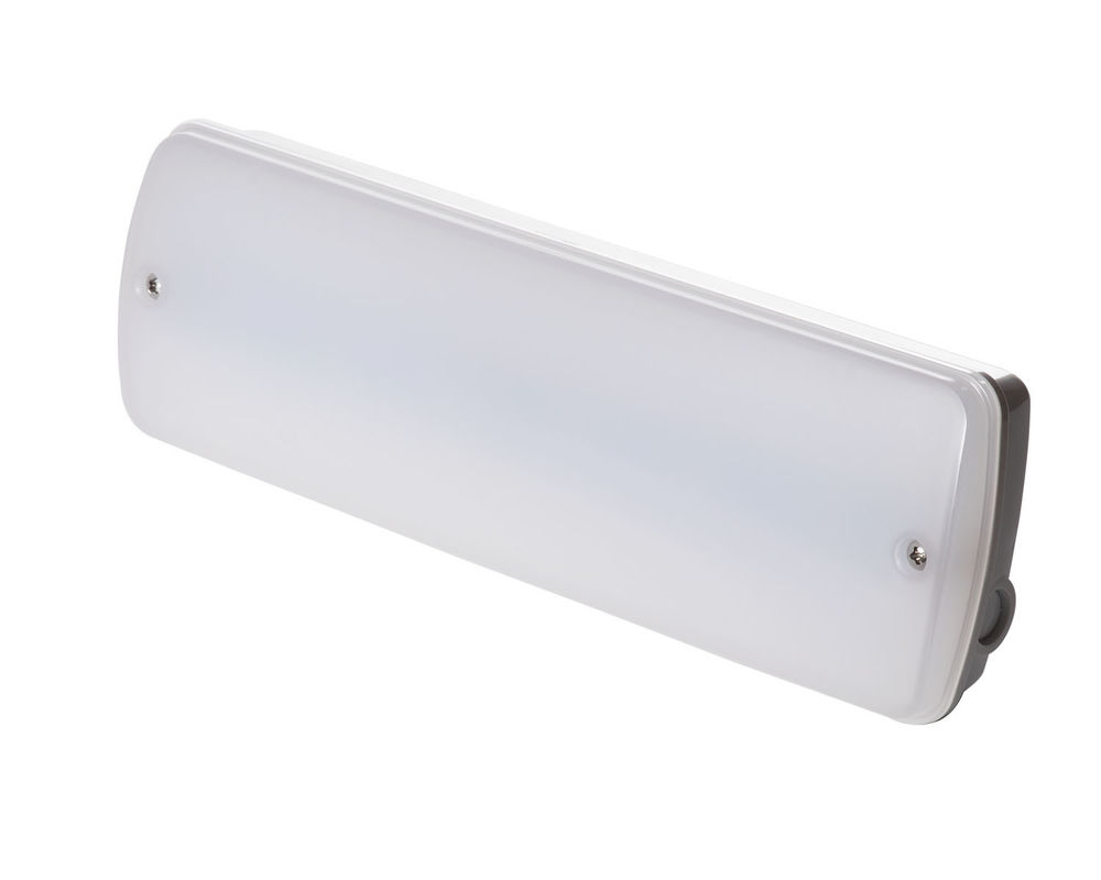 Éclairage de secours industriel étanche 220V pour lieux humides extérieur avec batterie de secours LED L121N