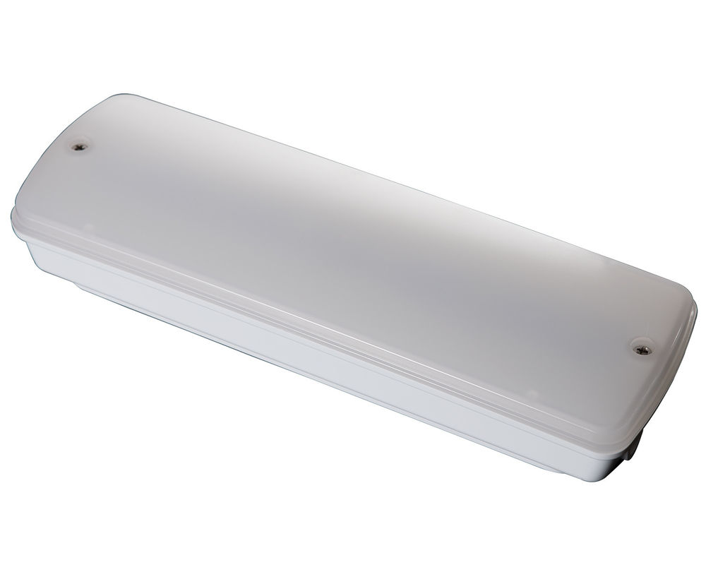 Éclairage de secours industriel étanche 220V pour lieux humides extérieur avec batterie de secours LED L121N