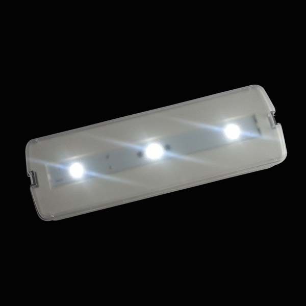 Lampe d'urgence LED rechargeable 220V avec batterie de secours, homologuée CE, montage en saillie murale L116N-A1