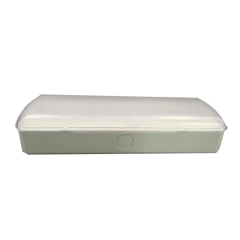 3 heures de fonctionnement 5W résistance au feu ABS LED lumière d'urgence Ni-Cd batterie L119N