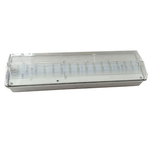 Lumière d'urgence étanche à l'eau à l'extérieur IP65 L'emplacement humide rechargeable EL030AN